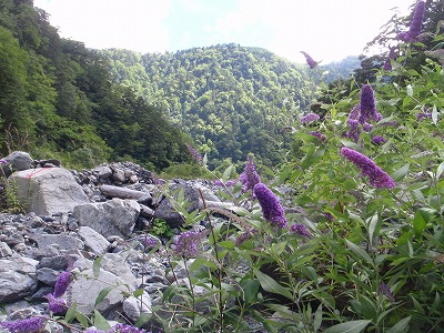 c0097754_22115812.jpg
