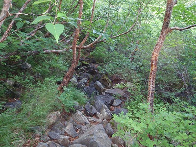 c0097754_2263268.jpg