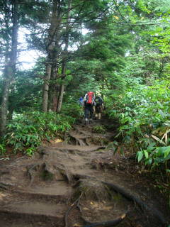 c0223259_10363932.jpg