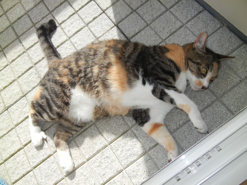’12,8,28(火)最後の夏を満喫~!_f0060461_1014661.jpg
