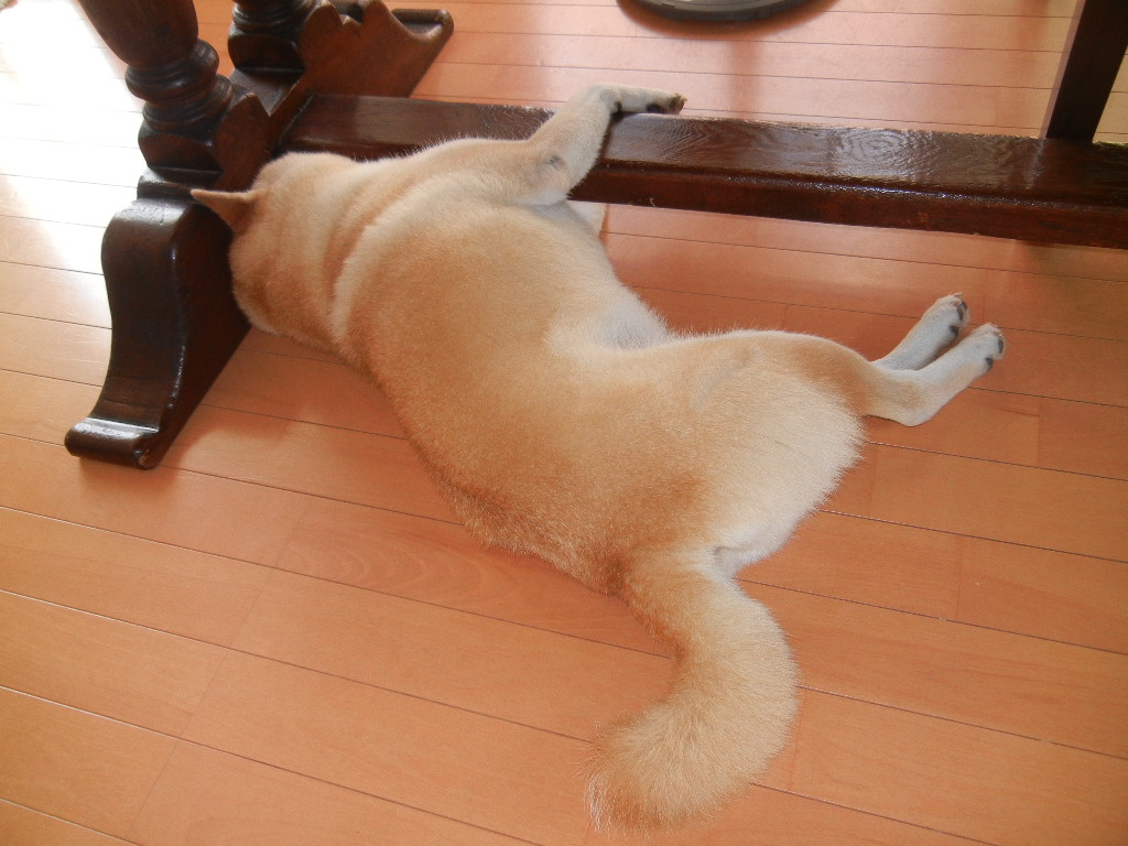 ’12,8,28(火)最後の夏を満喫~!_f0060461_1020295.jpg