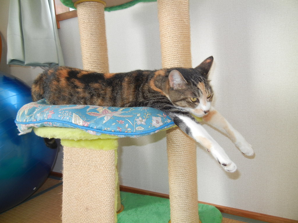 ’12,8,28(火)最後の夏を満喫~!_f0060461_10224795.jpg