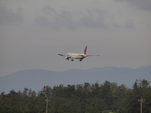 b0258965_2128827.jpg