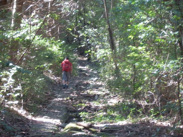 c0042869_61622.jpg