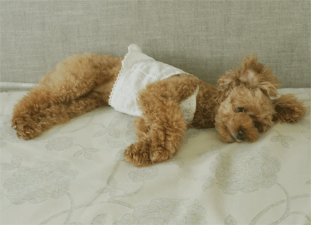 c0196673_8354642.gif