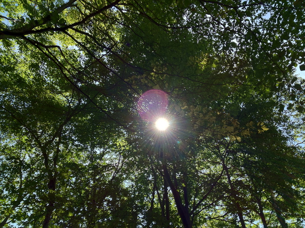 e0024978_17273197.jpg