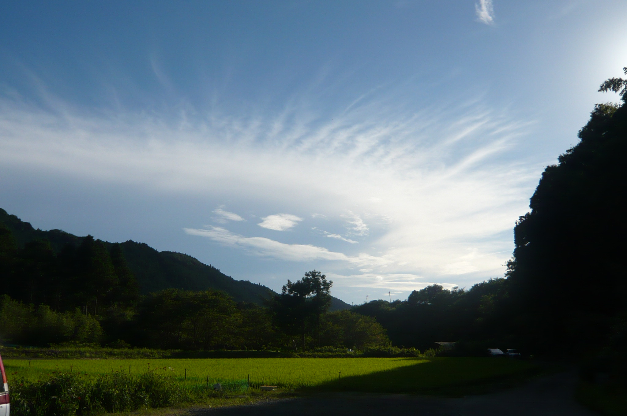 e0253482_1654207.jpg