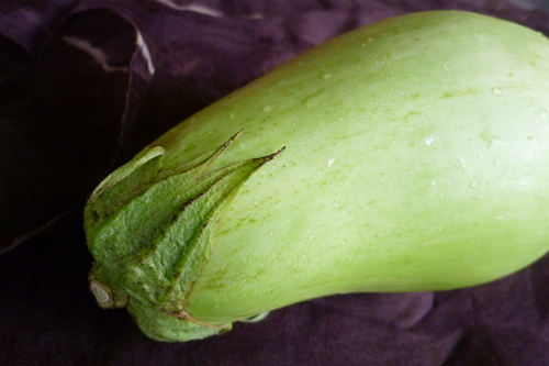 d0159384_1055959.jpg