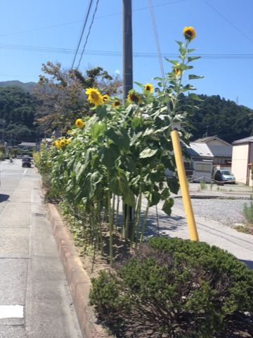 東北ライブハウス大作戦〜大船渡〜_e0033384_1851773.jpg