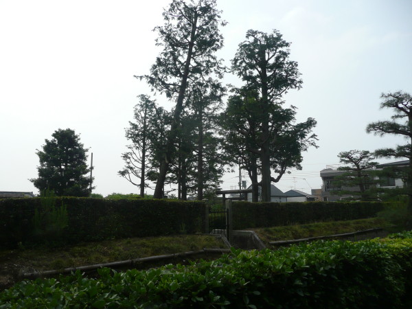 第67代　三條天皇 北山陵　on　2012-5-29_b0118987_10284351.jpg