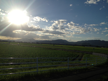 c0214089_17341359.jpg