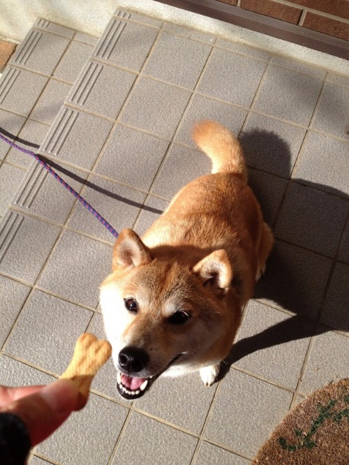 おかえりなさい。_a0126590_9465647.jpg