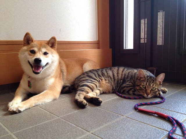 おかえりなさい。_a0126590_9523554.jpg