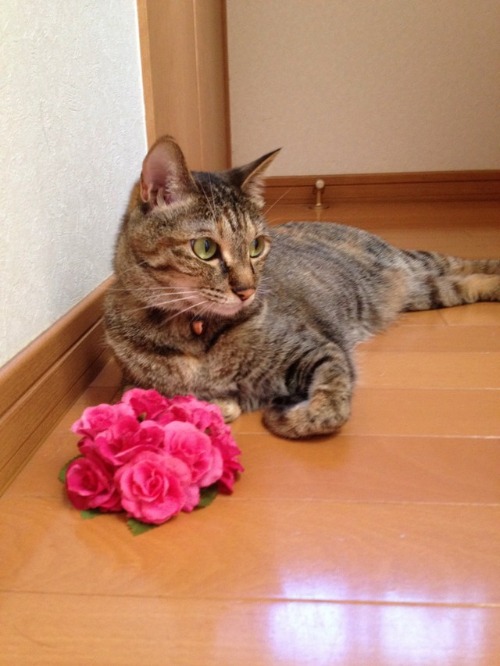 おかえりなさい。_a0126590_9531996.jpg