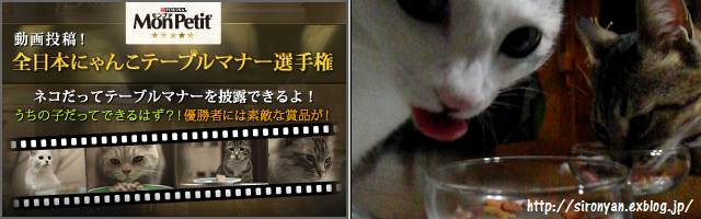 a0159490_1057991.png
