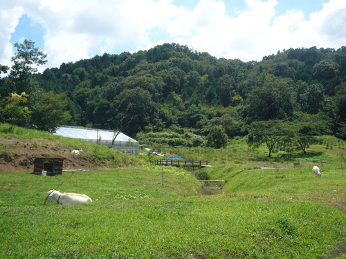 c0139090_231929.jpg