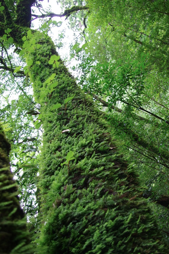 c0095900_92606.jpg