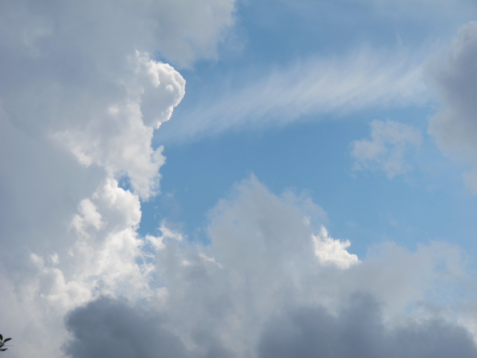 青い空、湧き上がる白い雲（３）_c0075701_615684.jpg