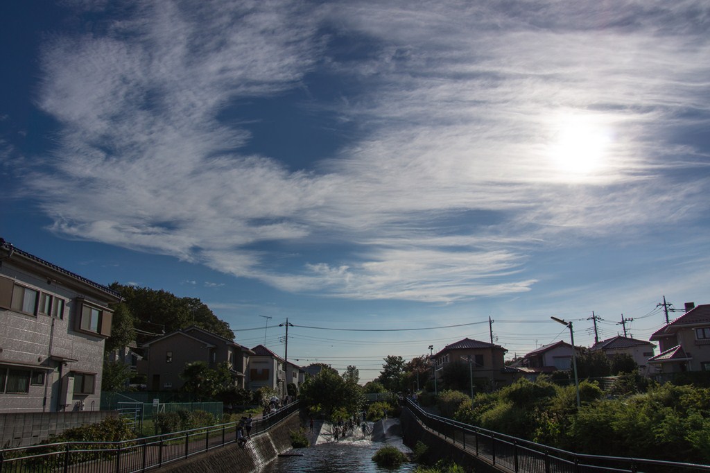 黒目川＆落合川上空　by 空倶楽部_a0060403_17355925.jpg