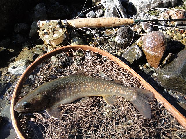 b0172805_1003483.jpg
