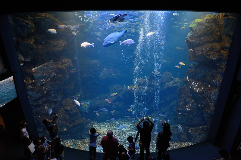 京都水族館 其の二_f0032011_1943514.jpg