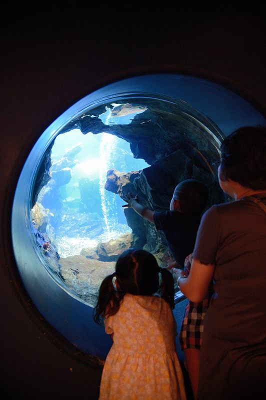 京都水族館 其の二_f0032011_19452695.jpg