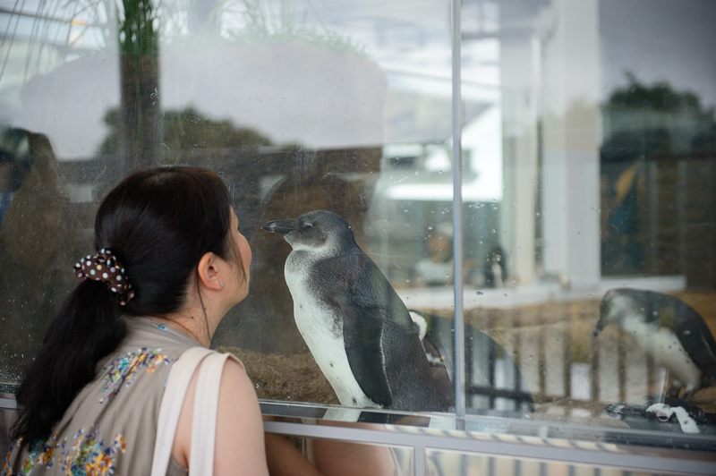 京都水族館 其の二_f0032011_1945426.jpg