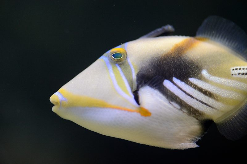 京都水族館 其の二_f0032011_19463461.jpg