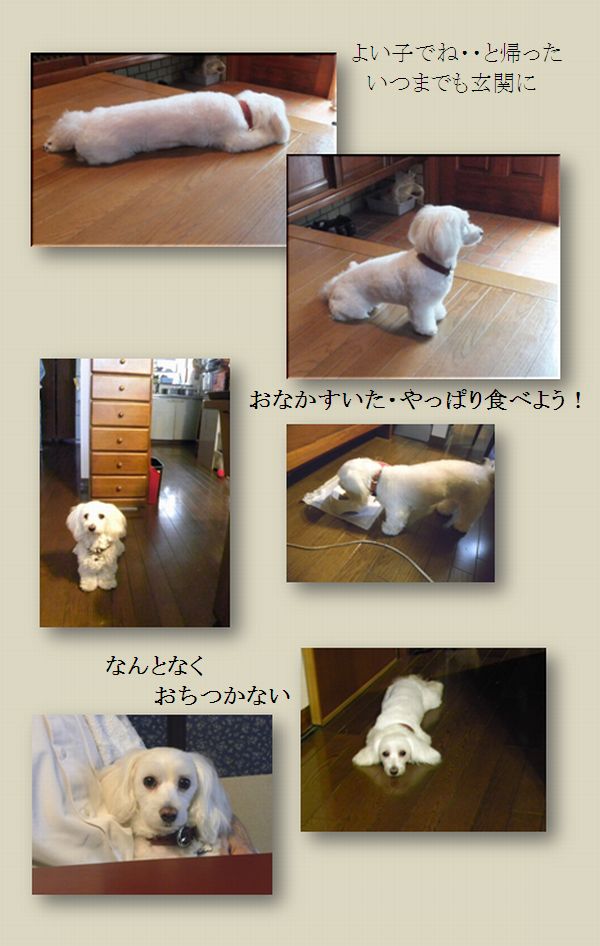 ブログ 長いお休みでした _c0073016_22435757.jpg