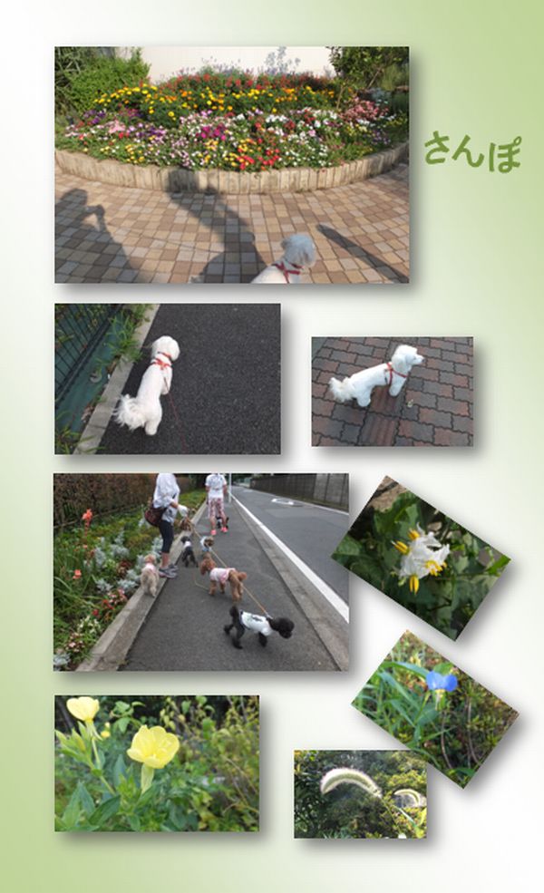 ブログ 長いお休みでした _c0073016_22451141.jpg