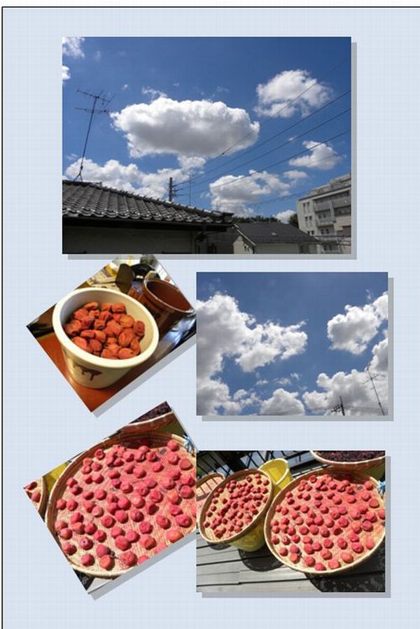 ブログ 長いお休みでした _c0073016_23201531.jpg