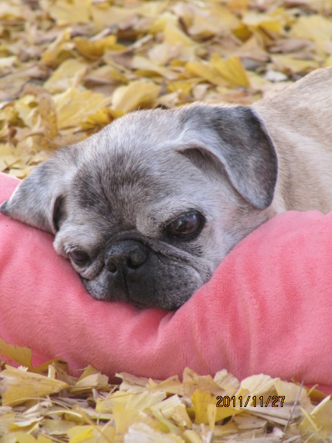 c0200916_29616.jpg