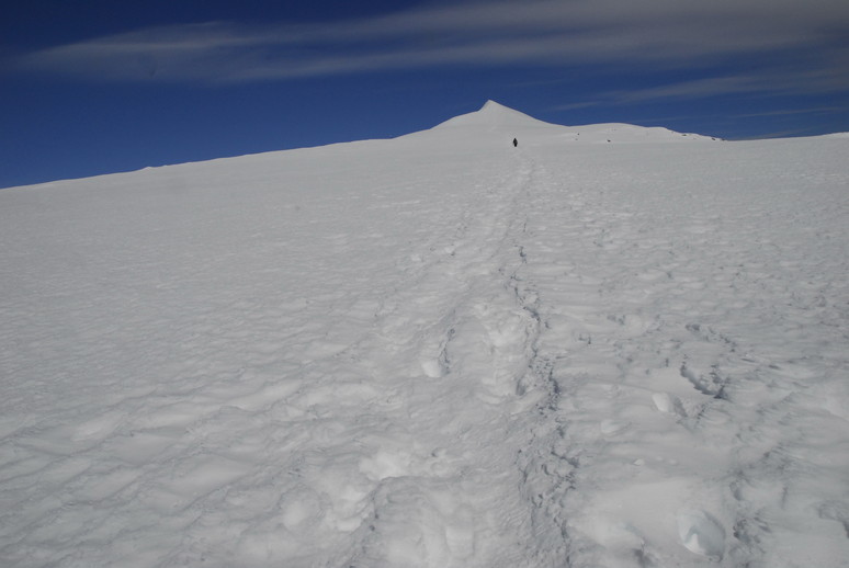 2012年7月　『Mt Kebnekaise & Kungsleden （王様の散歩道））』_c0219616_1640292.jpg