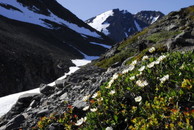 2012年7月　『Mt Kebnekaise & Kungsleden （王様の散歩道））』_c0219616_1654165.jpg