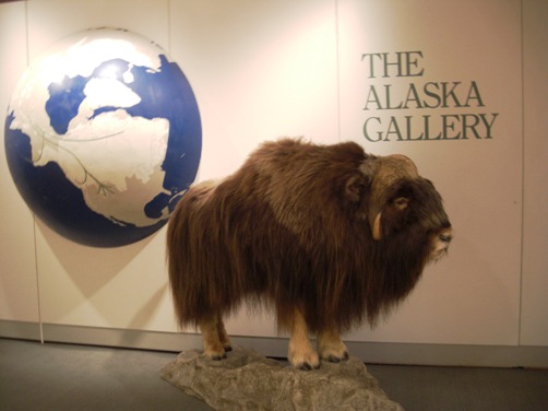 d0098316_2102298.jpg