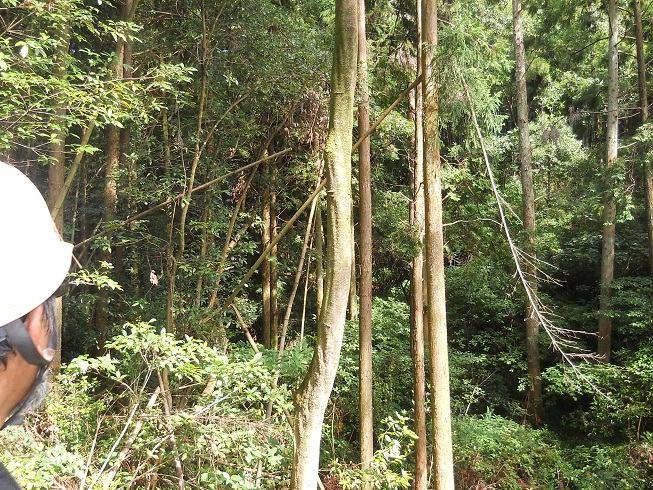 e0138321_2250429.jpg