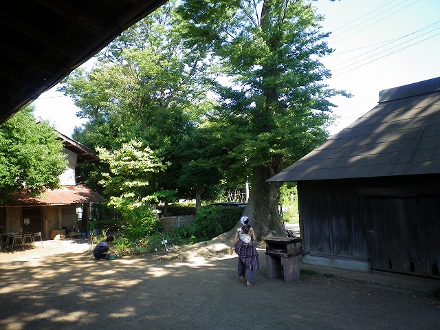 b0138522_23583920.jpg