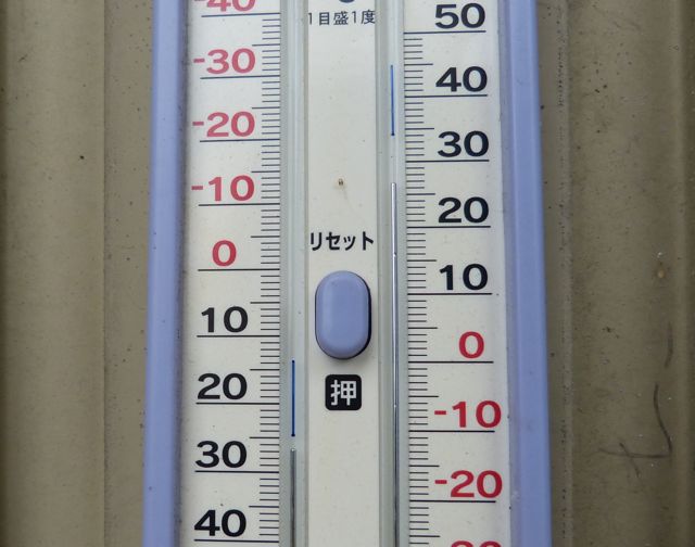 a0188023_7312350.jpg