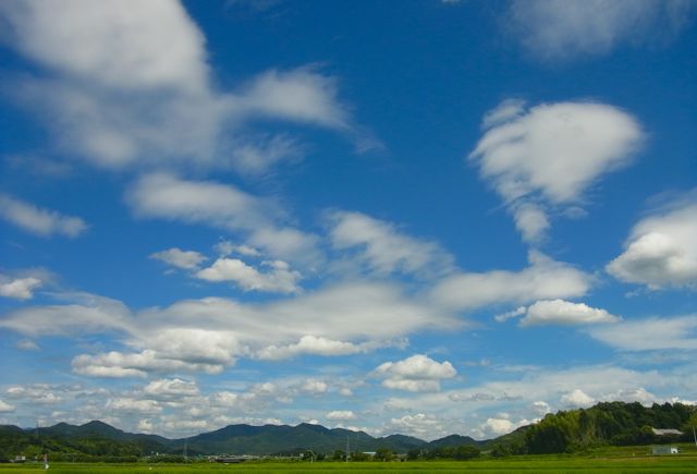 a0188023_7314234.jpg
