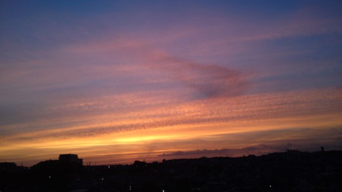 e0108126_523245.jpg
