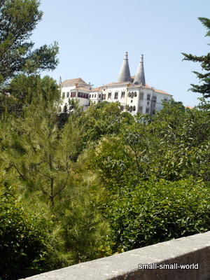 c0039428_2216080.jpg