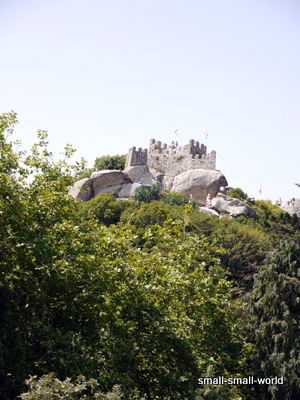 c0039428_22161474.jpg