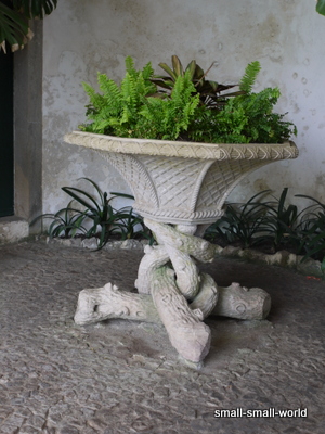 c0039428_2216617.jpg