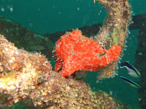 b0135631_183902.jpg
