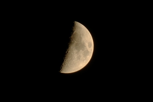 f0029038_23103633.jpg