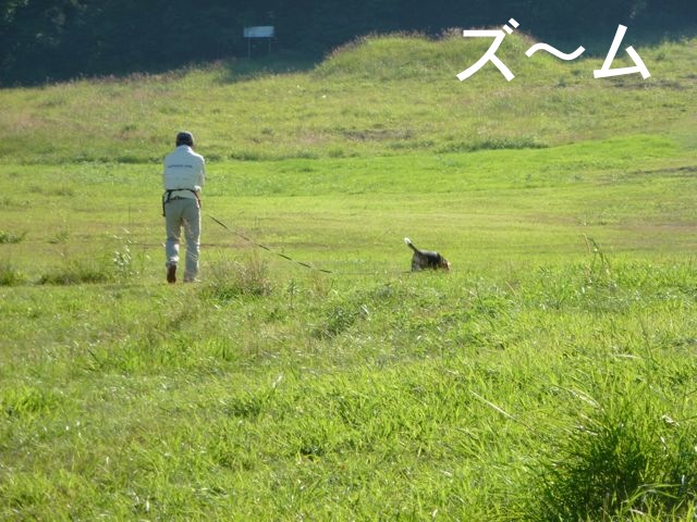 愛犬・夏の思いで 2_c0190940_13211094.jpg