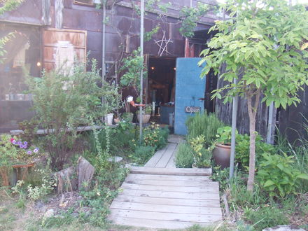 d0194842_233723.jpg