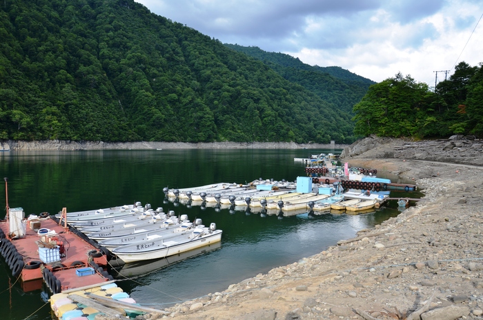 銀山湖（奥只見湖）　トロ＆夏のワカサギ_a0252243_1432773.jpg