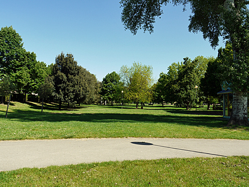d0262144_11452485.jpg