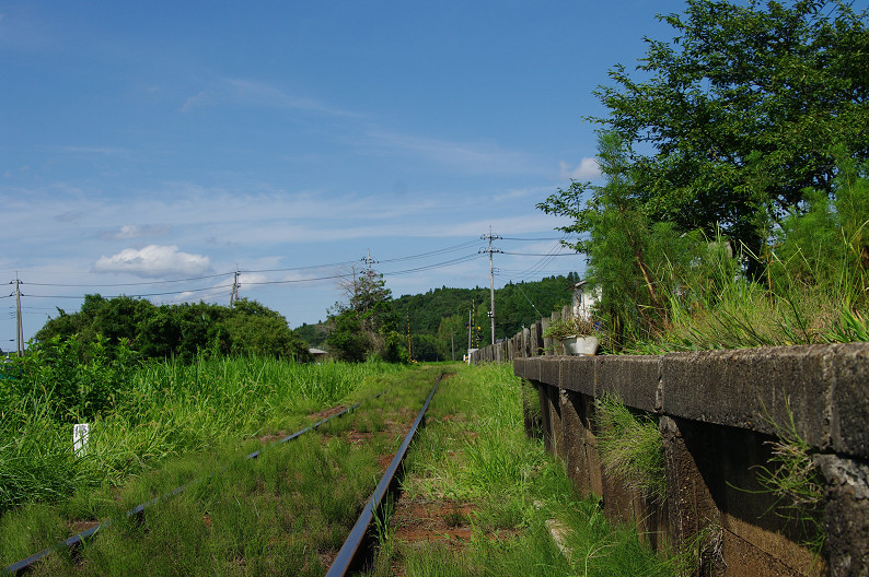 f0152550_21472184.jpg